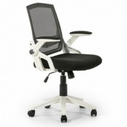 Silla de oficina Ergo-max