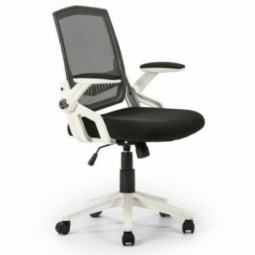 Silla de oficina Ergo-max